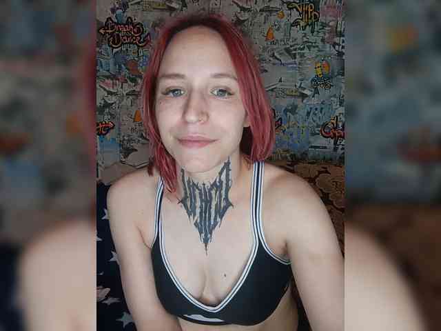 TPAX-HA-TPAX webcam