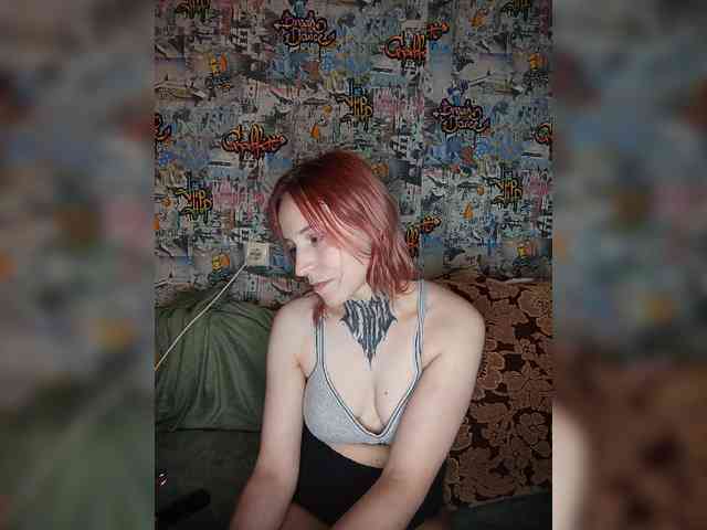 TPAX-HA-TPAX webcam