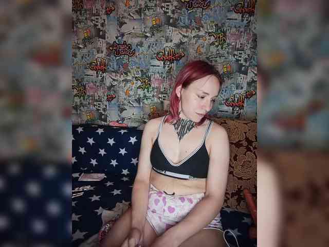 TPAX-HA-TPAX webcam