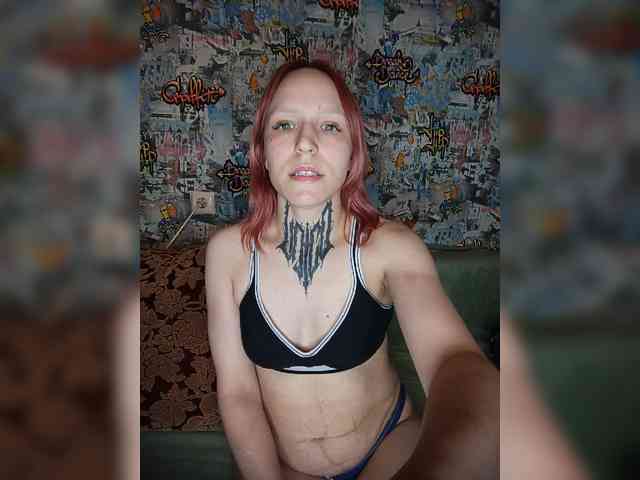 TPAX-HA-TPAX webcam