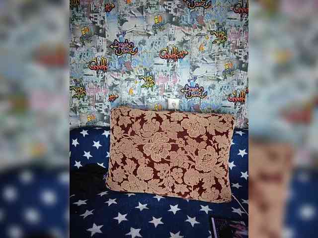 TPAX-HA-TPAX webcam