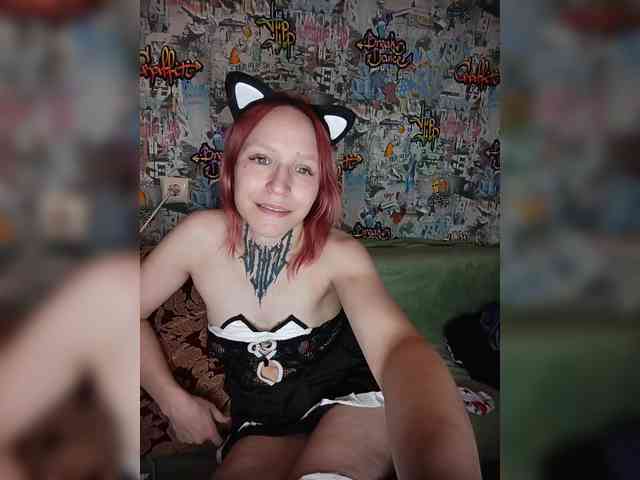 TPAX-HA-TPAX webcam
