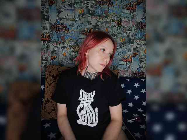 TPAX-HA-TPAX webcam