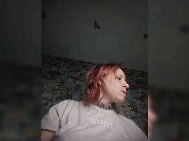TPAX-HA-TPAX webcam