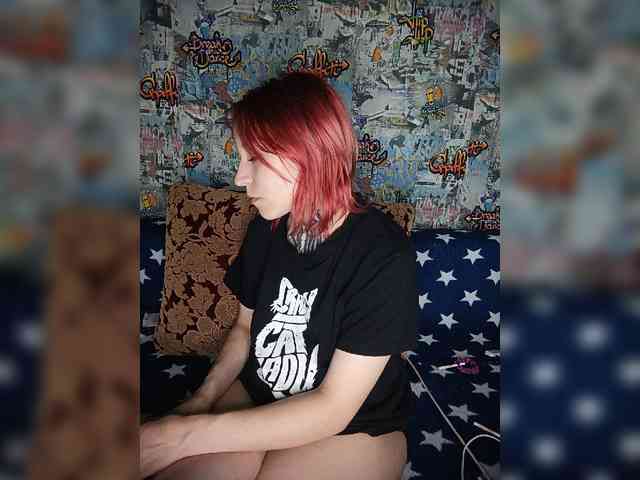 TPAX-HA-TPAX webcam