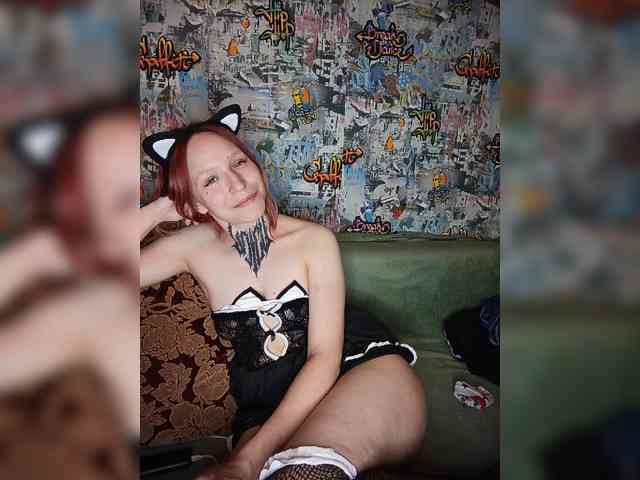 TPAX-HA-TPAX webcam