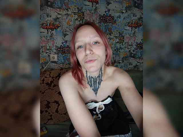TPAX-HA-TPAX webcam