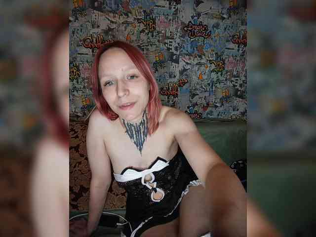 TPAX-HA-TPAX webcam