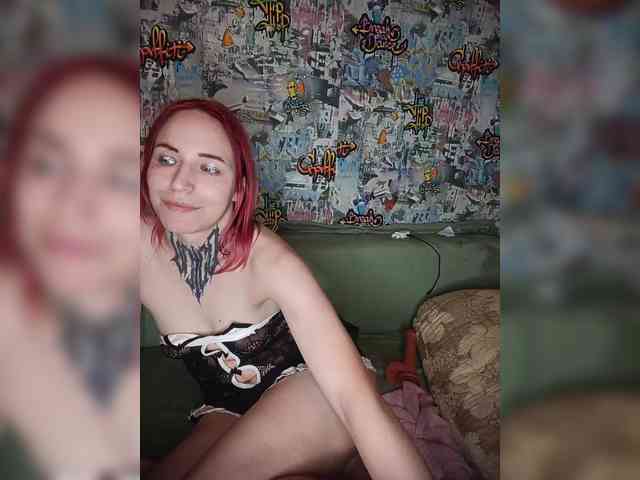 TPAX-HA-TPAX webcam