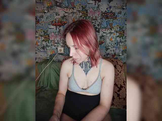 TPAX-HA-TPAX webcam