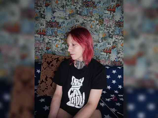 TPAX-HA-TPAX webcam