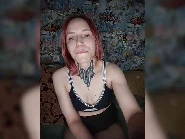 TPAX-HA-TPAX webcam