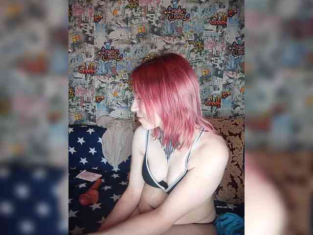 TPAX-HA-TPAX webcam