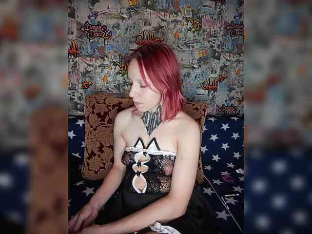 TPAX-HA-TPAX webcam