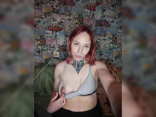TPAX-HA-TPAX webcam