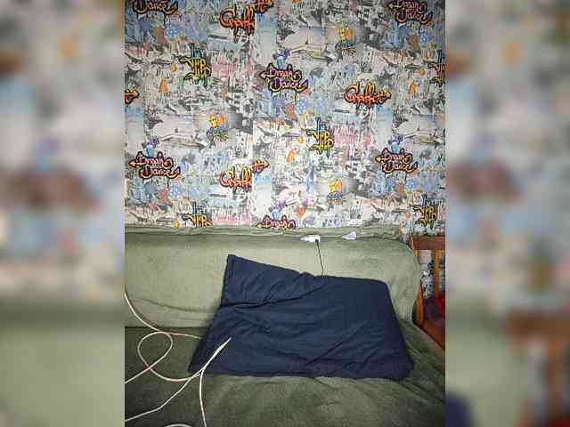 TPAX-HA-TPAX webcam