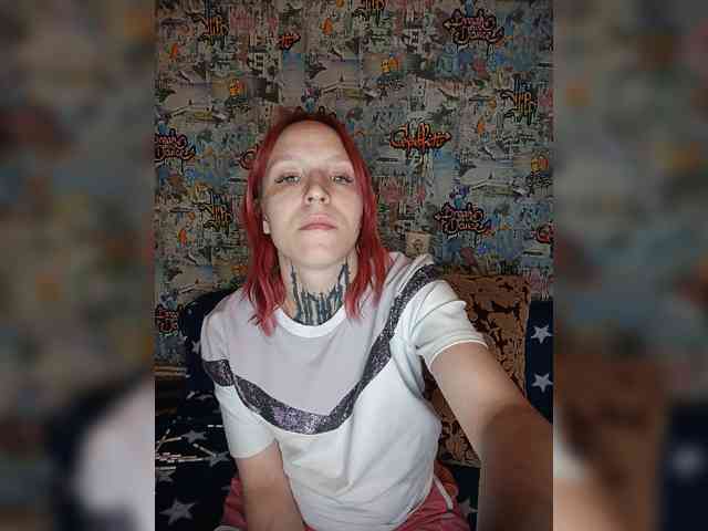 TPAX-HA-TPAX webcam