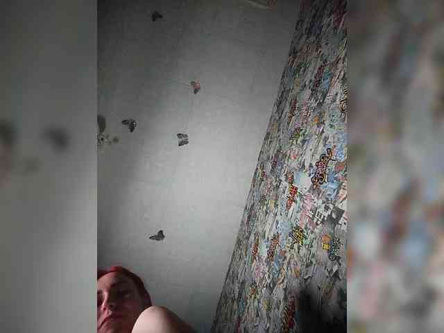 TPAX-HA-TPAX webcam