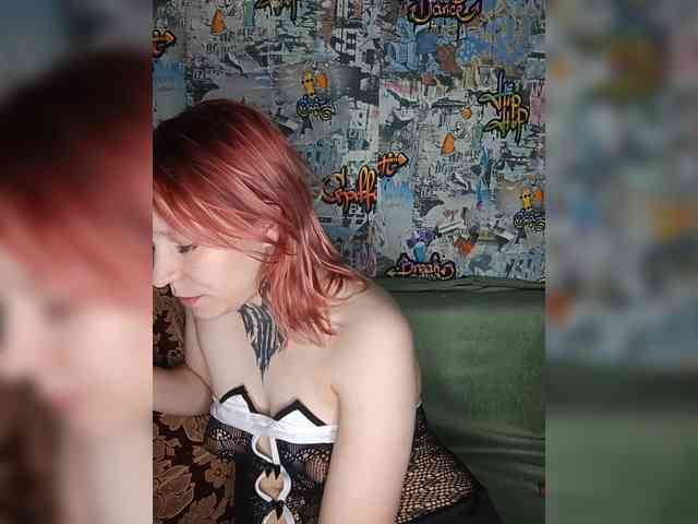 TPAX-HA-TPAX webcam