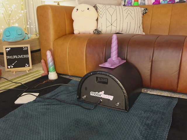 TaylorLove303 live cam