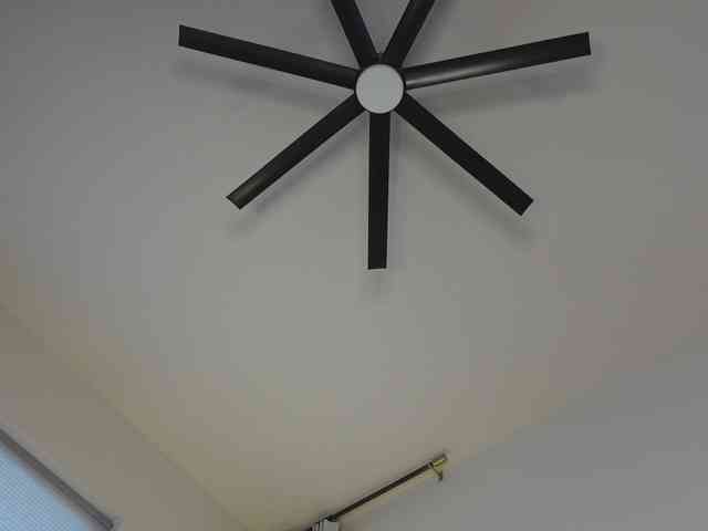 TaylorLove303 webcam