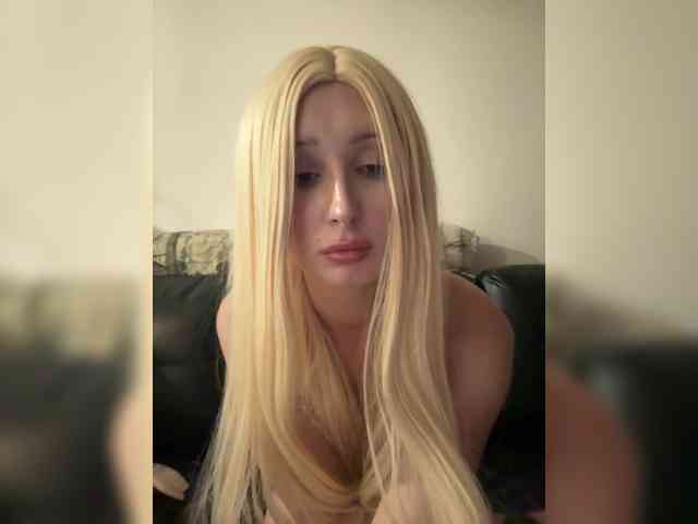 meow00010 webcam