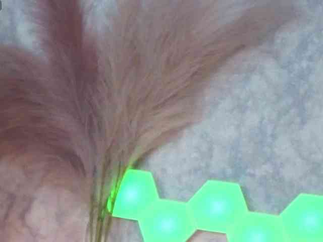 Afffiiina webcam