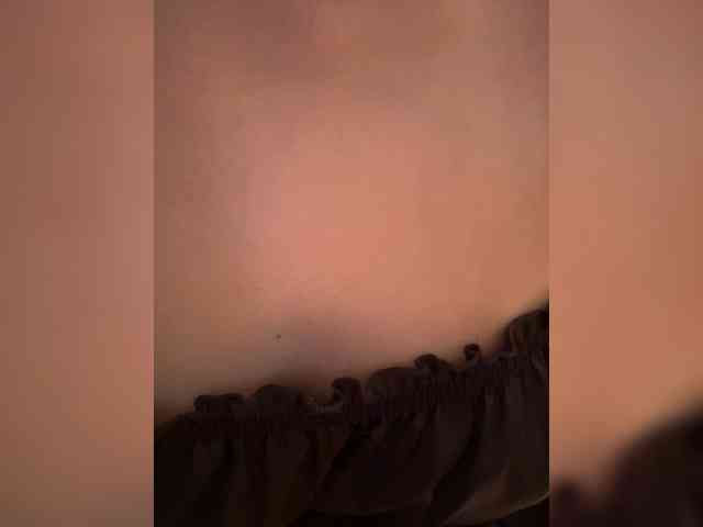 Jacquelin_vee