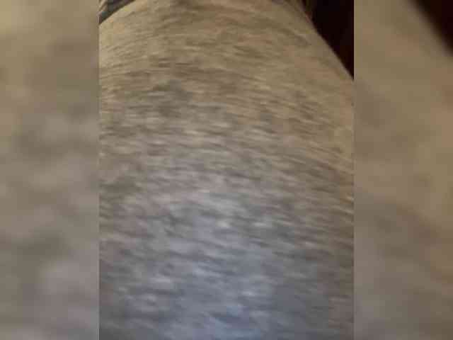 Jacquelin_vee