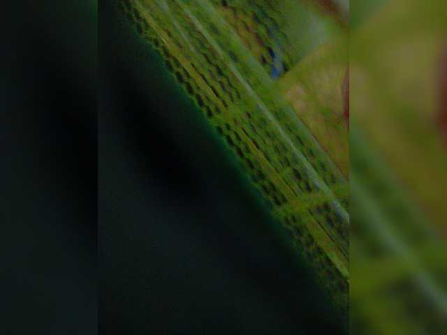 YourAadhya live cam on BongaCams