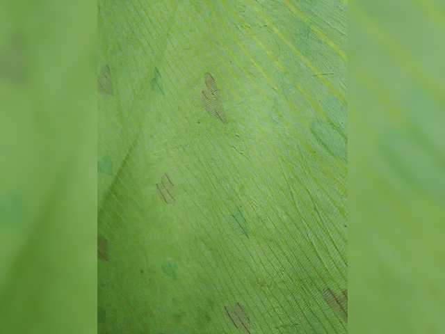 YourAadhya live cam on BongaCams