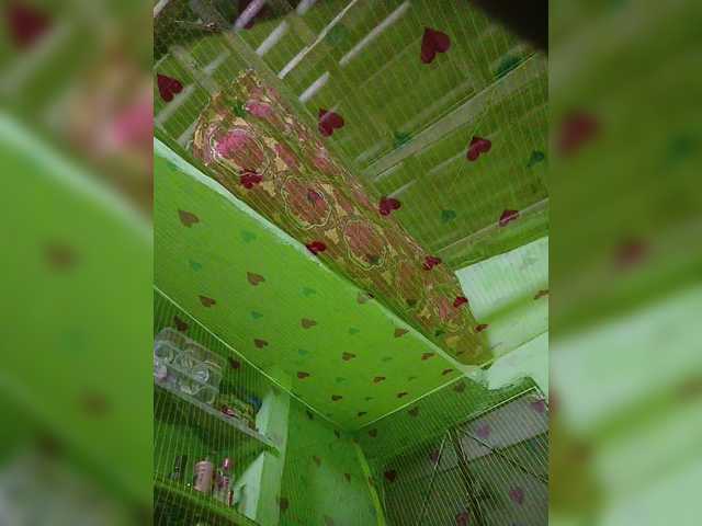 YourAadhya