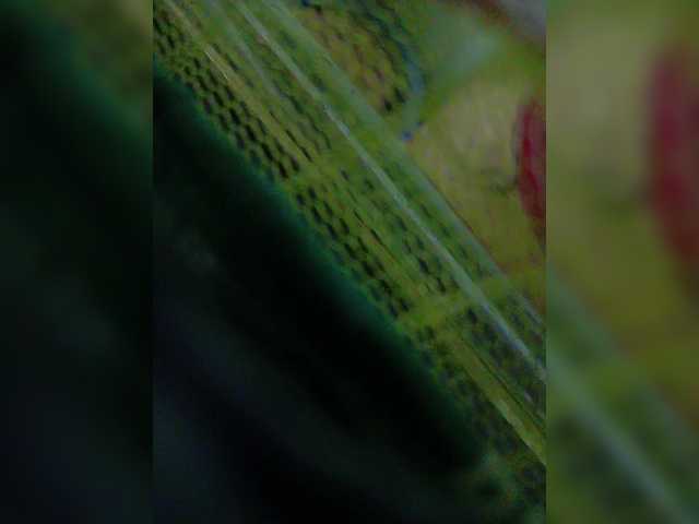 YourAadhya live cam on BongaCams