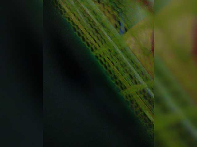 YourAadhya