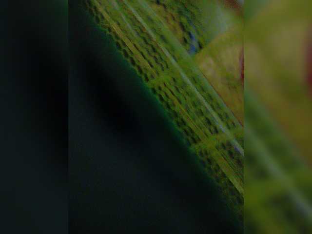 YourAadhya live cam on BongaCams