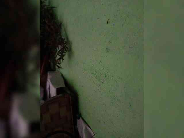 YourAadhya YourAadhya