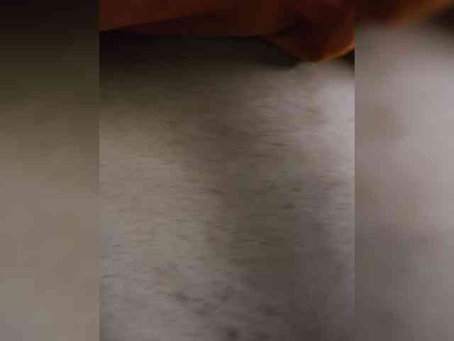 dirtylittleprincess59 webcam