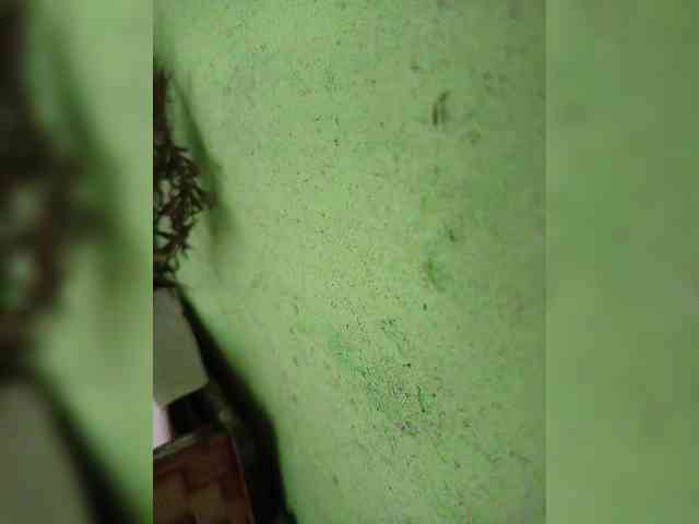 AadhyaLove webcam