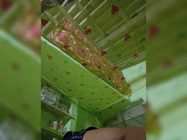 AadhyaLove webcam