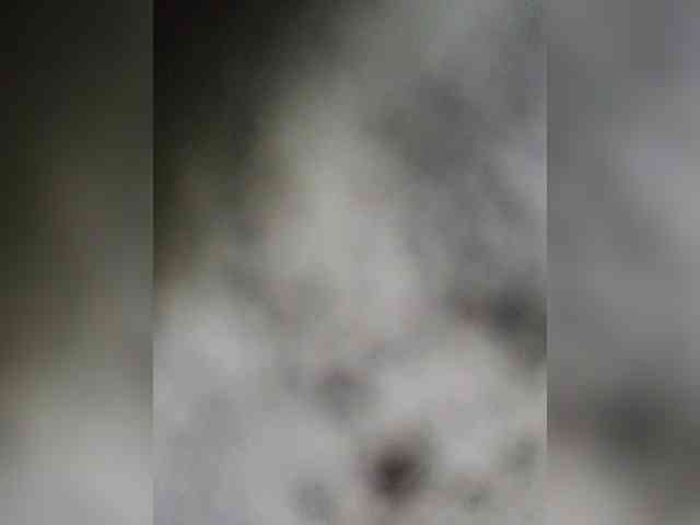 AadhyaLove webcam