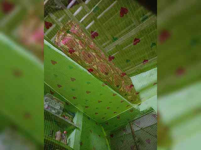 AadhyaLove webcam