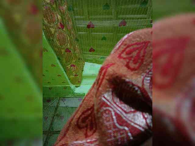 AadhyaLove webcam