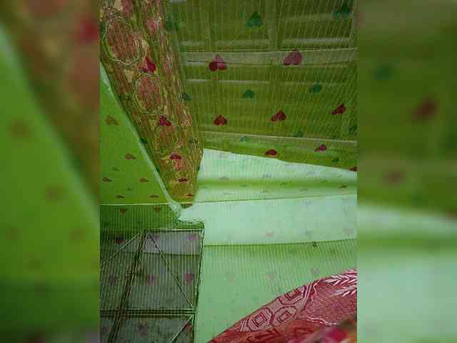 AadhyaLove webcam