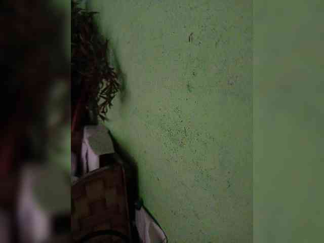 AadhyaLove webcam