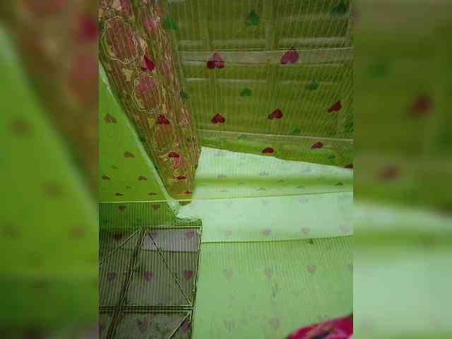 AadhyaLove webcam