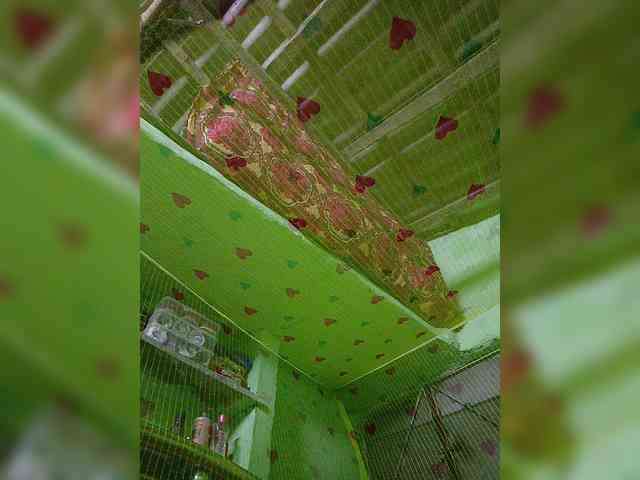 AadhyaLove webcam