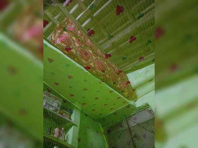 AadhyaLove webcam