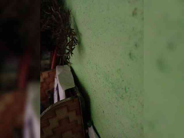 YourAadhya