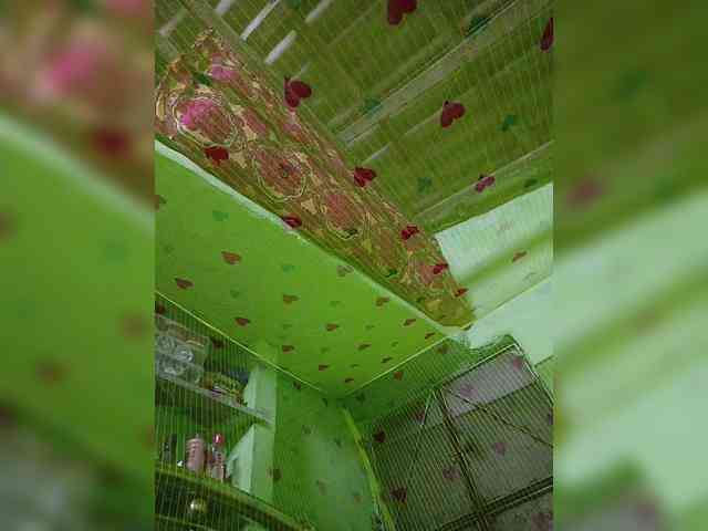 AadhyaLove webcam