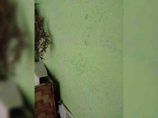 AadhyaLove webcam